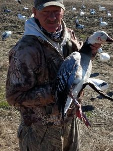 Spring Snow Goose Hunting Www.huntupnorth.com 210