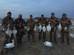 Spring Snow Goose Hunting Www.huntupnorth.com 215