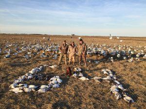 Spring Snow Goose Hunting Www.huntupnorth.com 220