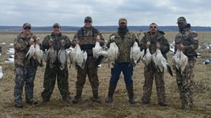 Spring Snow Goose Hunting Www.huntupnorth.com 225