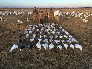 Spring Snow Goose Hunting Www.huntupnorth.com 242