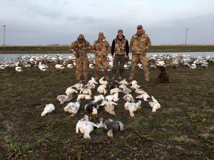 Spring Snow Goose Hunting Www.huntupnorth.com 248