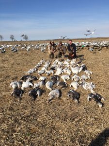 Spring Snow Goose Hunting Www.huntupnorth.com 251