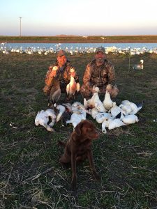 Spring Snow Goose Hunting Www.huntupnorth.com 252