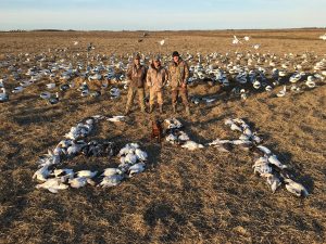 Spring Snow Goose Hunting Www.huntupnorth.com 255