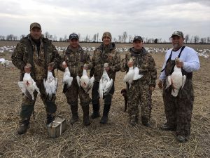 Spring Snow Goose Hunting Www.huntupnorth.com 256