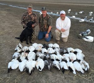 Spring Snow Goose Hunting Www.huntupnorth.com 261