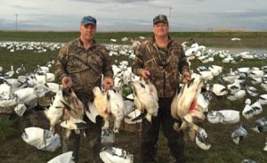 Spring Snow Goose Hunting Www.huntupnorth.com 262