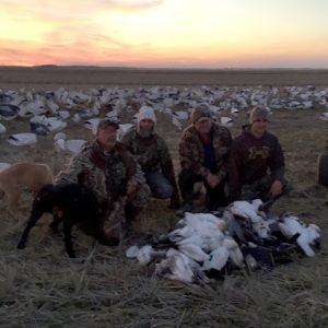 Spring Snow Goose Hunting Www.huntupnorth.com 267