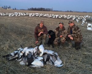 Spring Snow Goose Hunting Www.huntupnorth.com 268