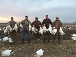 Spring Snow Goose Hunting Www.huntupnorth.com 274