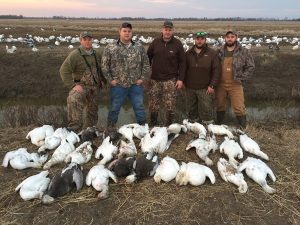 Spring Snow Goose Hunting Www.huntupnorth.com 275
