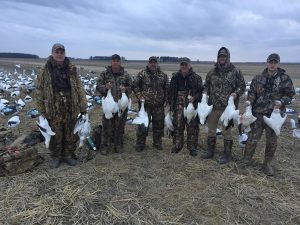 Spring Snow Goose Hunting Www.huntupnorth.com 277