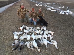 Spring Snow Goose Hunting Www.huntupnorth.com 280