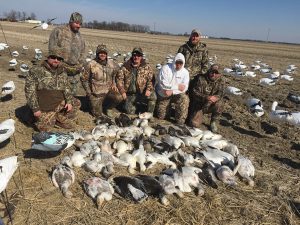 Spring Snow Goose Hunting Www.huntupnorth.com 286
