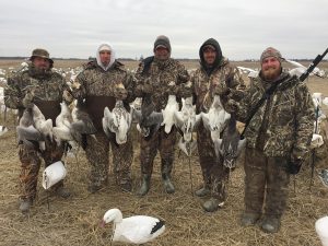Spring Snow Goose Hunting Www.huntupnorth.com 288