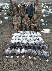Spring Snow Goose Hunting Www.huntupnorth.com 296