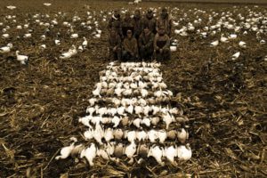 3 17 Iowa 2 2
