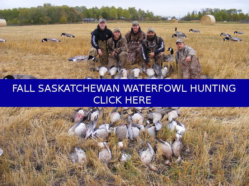 Click to learn about Fall Saskatchewan Waterfowl Hunting