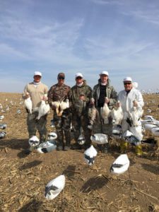 2019 Season003