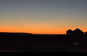 Sunsets on our Arkansas hunt, time to get back to the house and make todays spring snow goose migration report.